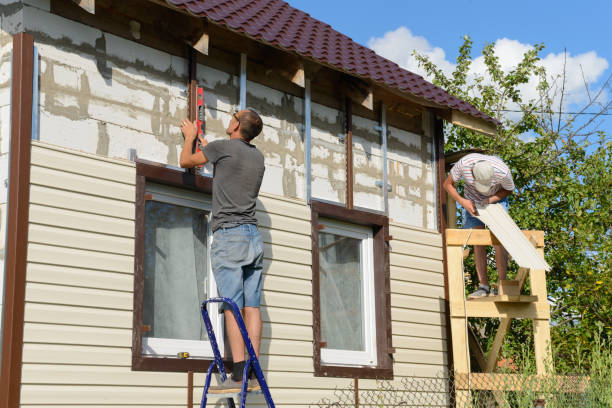 Best Steel Siding Installation  in Albion, MI