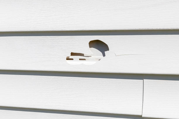 Best Siding Removal and Disposal  in Albion, MI