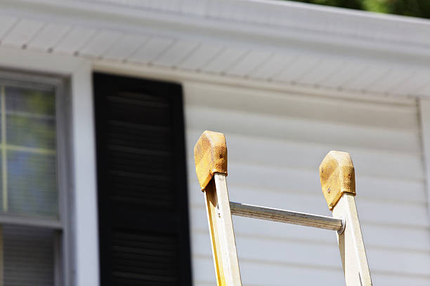 Best Engineered Wood Siding  in Albion, MI