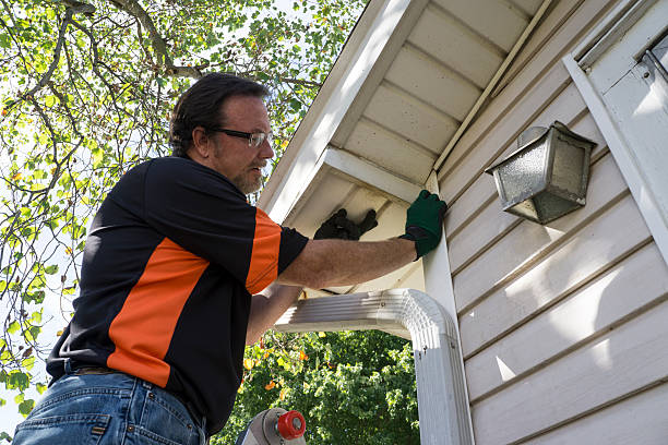 Best Stone Veneer Siding  in Albion, MI